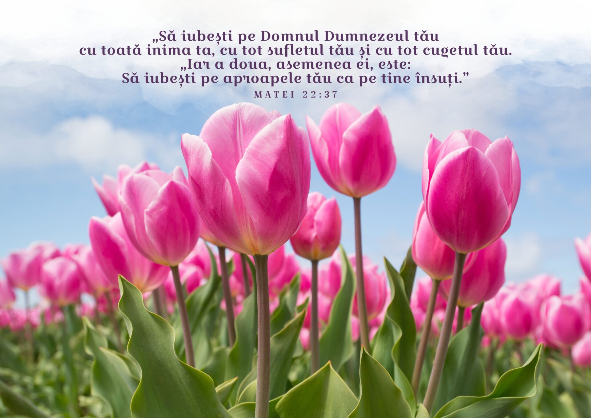 Pagină din calendarul cu versete