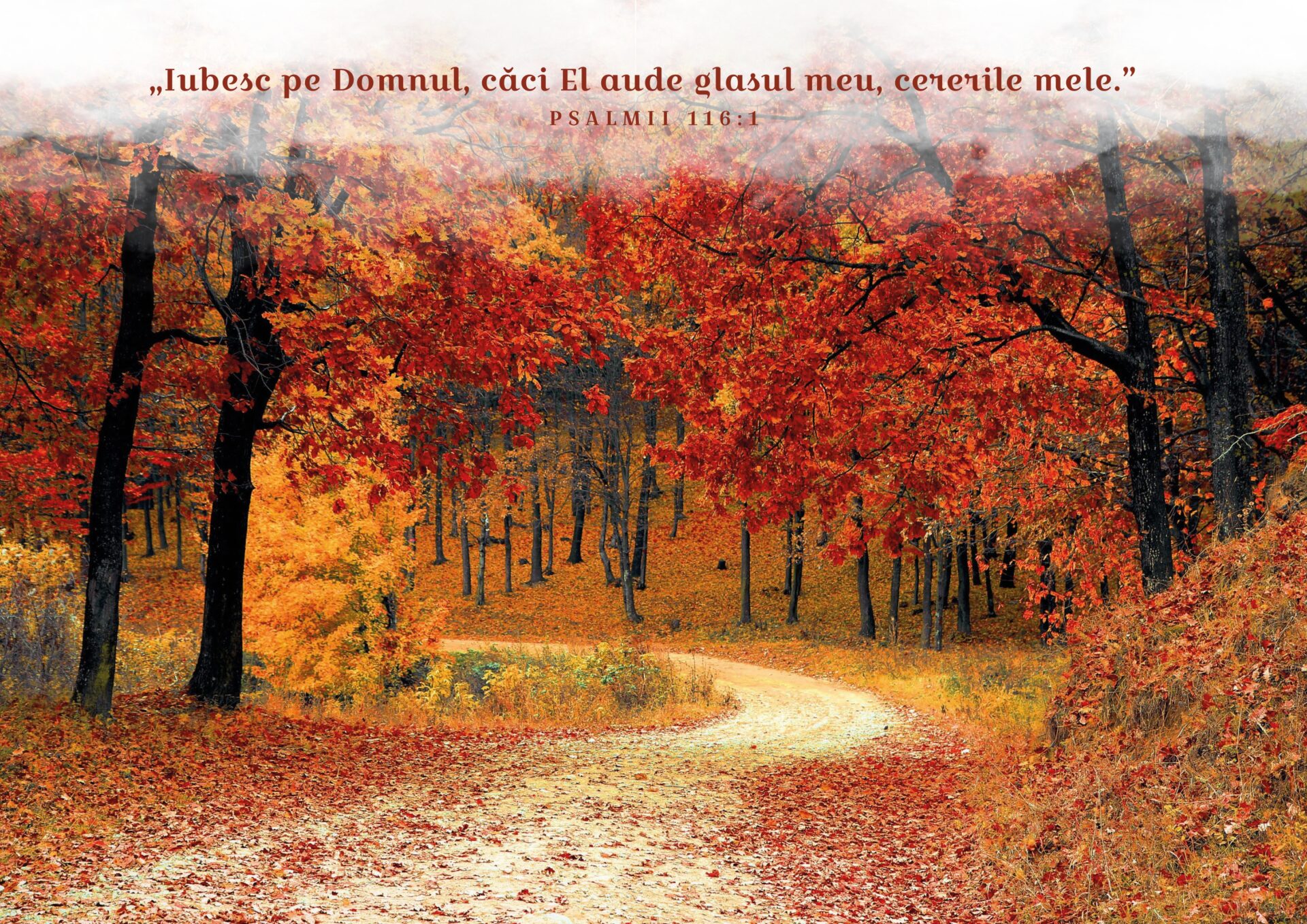 Pagină din calendarul cu versete