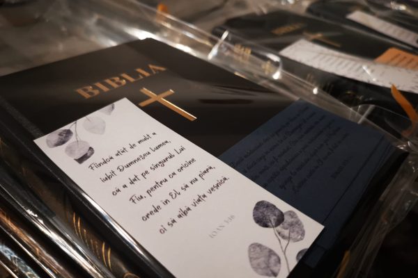 fd3bed37-8b5f-46e7-a2d3-bb680d447b1c